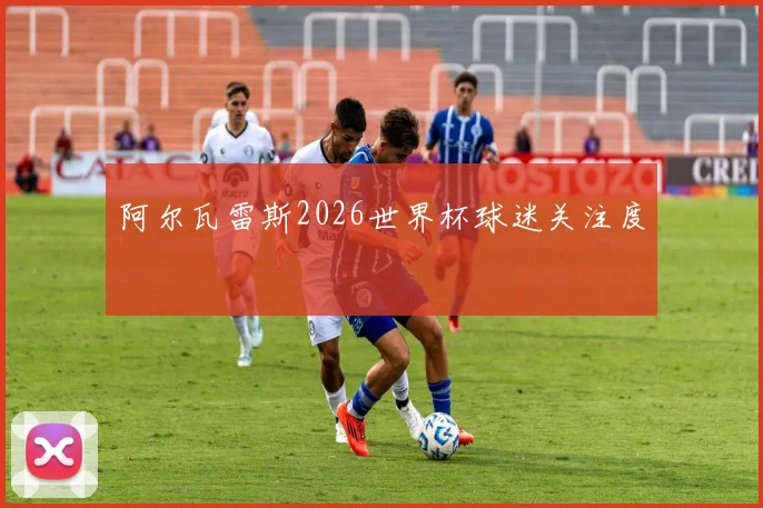 阿尔瓦雷斯2026世界杯球迷关注度