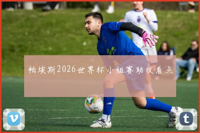 帕埃斯2026世界杯小组赛助攻看点