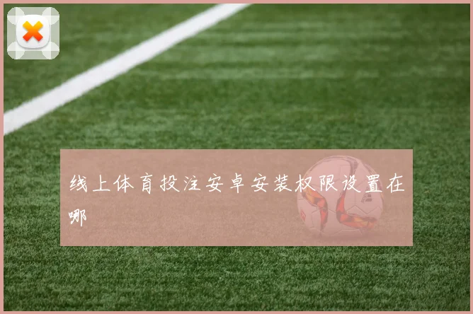 线上体育投注安卓安装权限设置在哪
